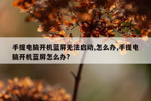 手提电脑开机蓝屏无法启动,怎么办,手提电脑开机蓝屏怎么办?