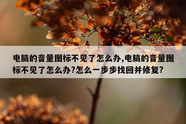 电脑的音量图标不见了怎么办,电脑的音量图标不见了怎么办?怎么一步步找回并修复?