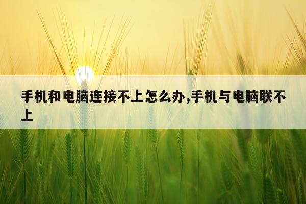 手机和电脑连接不上怎么办,手机与电脑联不上
