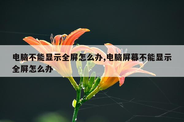 电脑不能显示全屏怎么办,电脑屏幕不能显示全屏怎么办