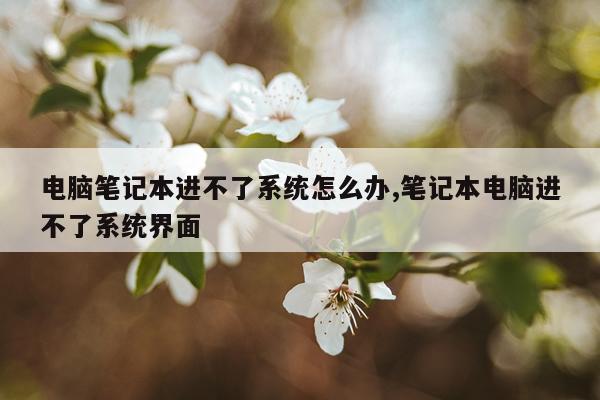 电脑笔记本进不了系统怎么办,笔记本电脑进不了系统界面
