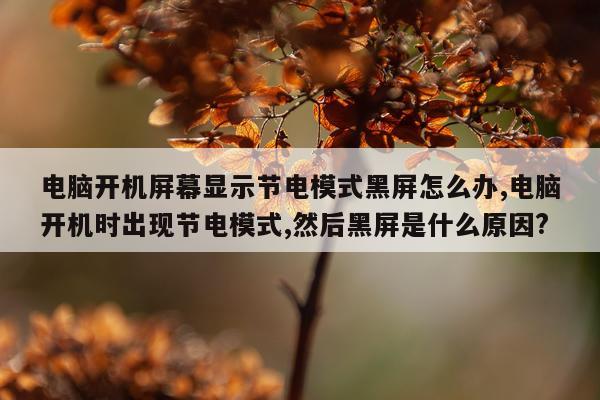 电脑开机屏幕显示节电模式黑屏怎么办,电脑开机时出现节电模式,然后黑屏是什么原因?