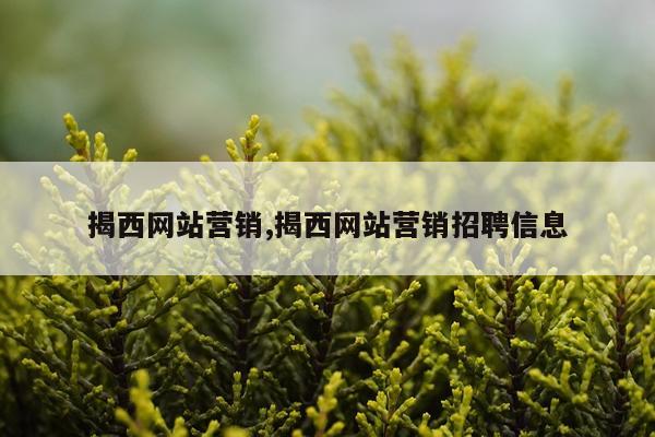 揭西网站营销,揭西网站营销招聘信息