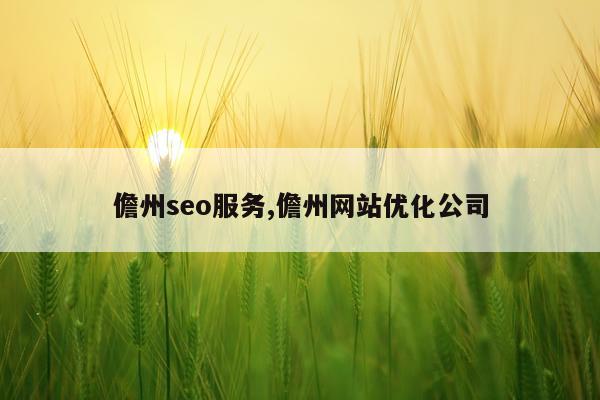 儋州seo服务,儋州网站优化公司