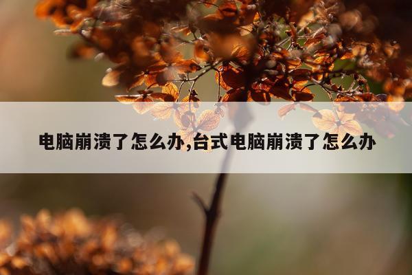 电脑崩溃了怎么办,台式电脑崩溃了怎么办