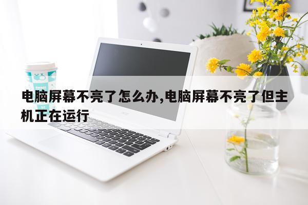 电脑屏幕不亮了怎么办,电脑屏幕不亮了但主机正在运行