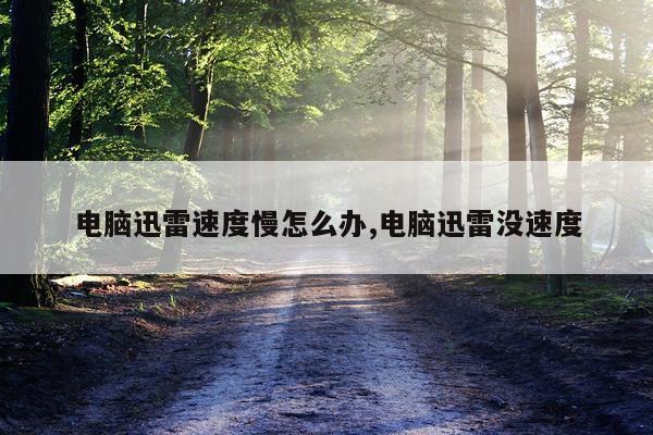 电脑迅雷速度慢怎么办,电脑迅雷没速度