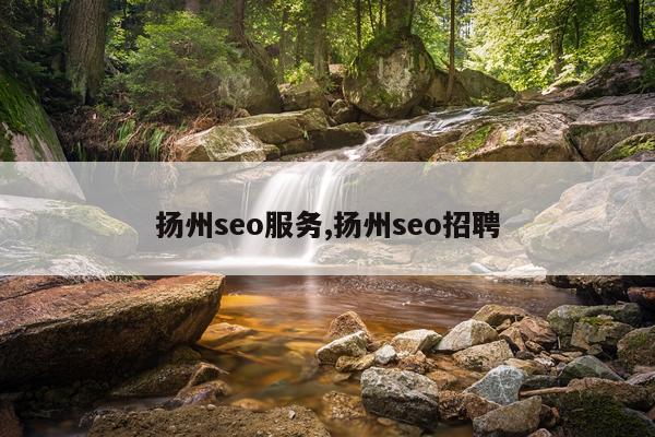 扬州seo服务,扬州seo招聘
