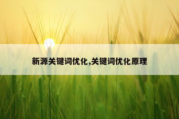 新源关键词优化,关键词优化原理