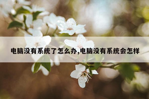 电脑没有系统了怎么办,电脑没有系统会怎样