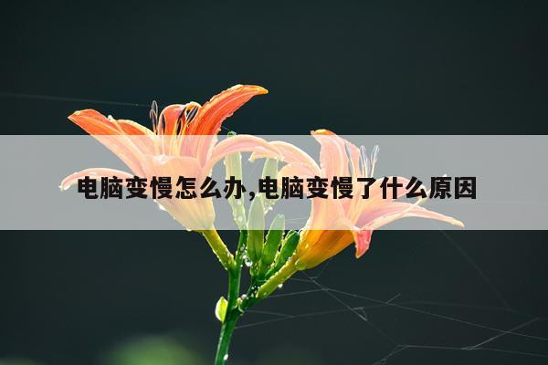 电脑变慢怎么办,电脑变慢了什么原因