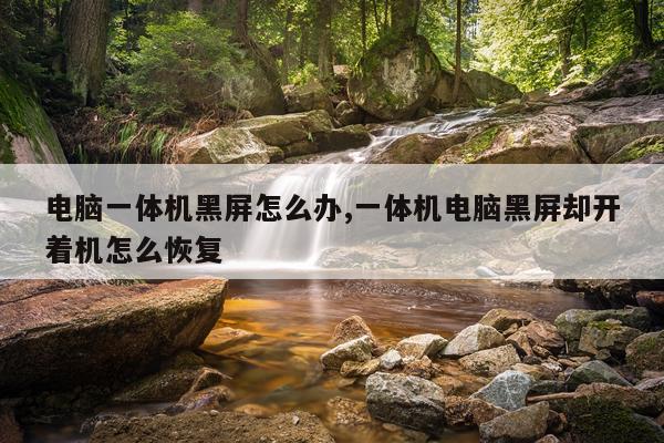 电脑一体机黑屏怎么办,一体机电脑黑屏却开着机怎么恢复