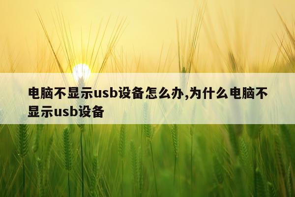 电脑不显示usb设备怎么办,为什么电脑不显示usb设备
