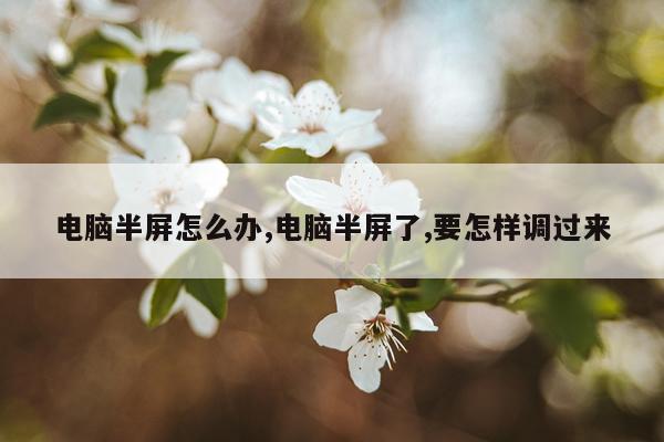 电脑半屏怎么办,电脑半屏了,要怎样调过来