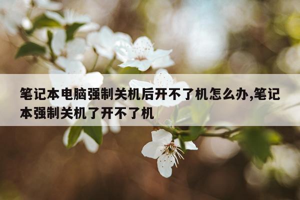 笔记本电脑强制关机后开不了机怎么办,笔记本强制关机了开不了机