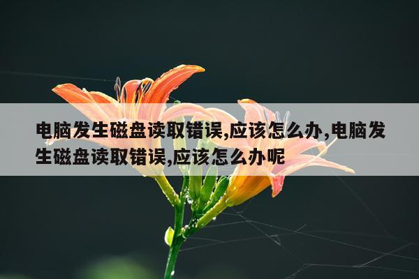 电脑发生磁盘读取错误,应该怎么办,电脑发生磁盘读取错误,应该怎么办呢
