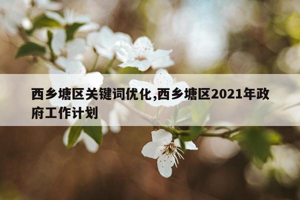 西乡塘区关键词优化,西乡塘区2021年政府工作计划