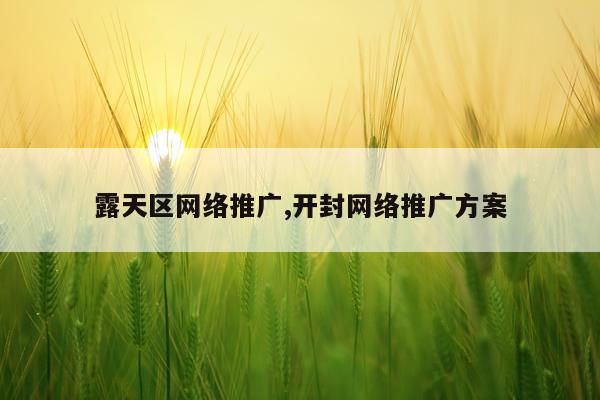 露天区网络推广,开封网络推广方案