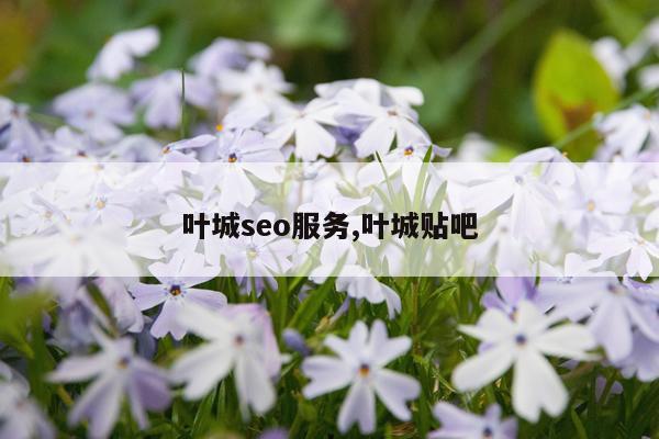 叶城seo服务,叶城贴吧