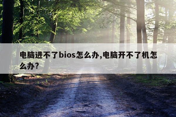电脑进不了bios怎么办,电脑开不了机怎么办?
