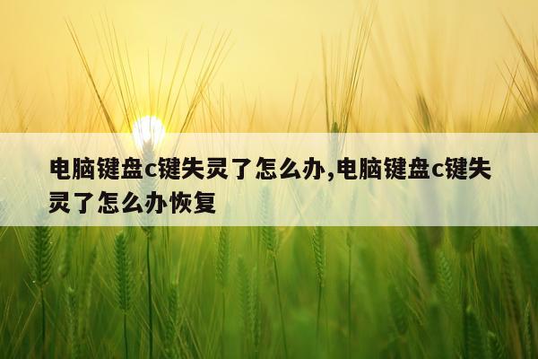 电脑键盘c键失灵了怎么办,电脑键盘c键失灵了怎么办恢复