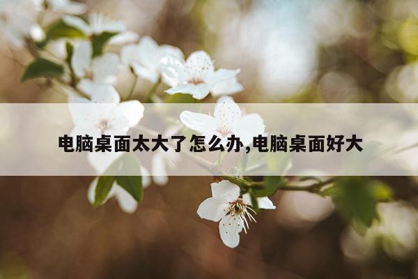 电脑桌面太大了怎么办,电脑桌面好大