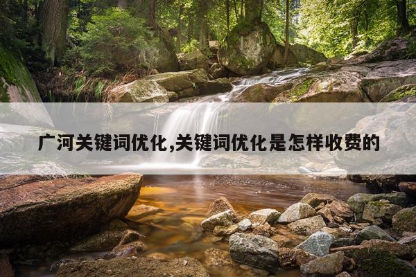 广河关键词优化,关键词优化是怎样收费的
