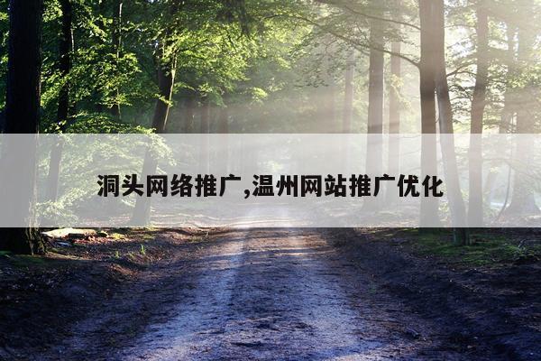 洞头网络推广,温州网站推广优化
