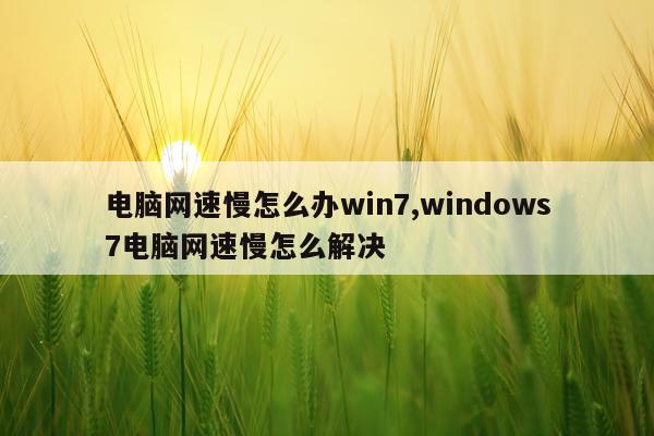 电脑网速慢怎么办win7,windows7电脑网速慢怎么解决