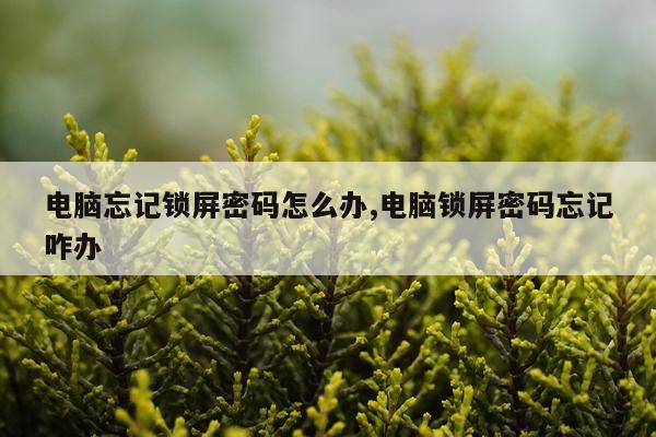 电脑忘记锁屏密码怎么办,电脑锁屏密码忘记咋办