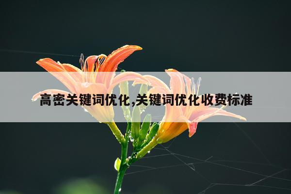 高密关键词优化,关键词优化收费标准