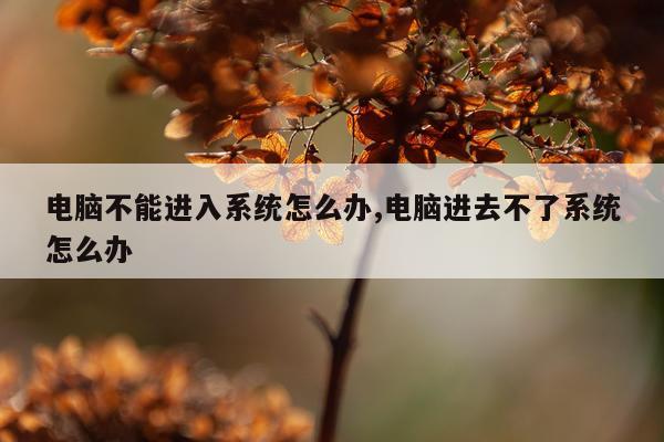 电脑不能进入系统怎么办,电脑进去不了系统怎么办
