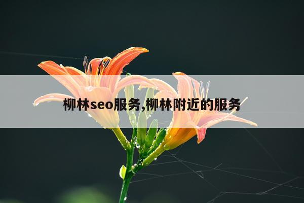 柳林seo服务,柳林附近的服务