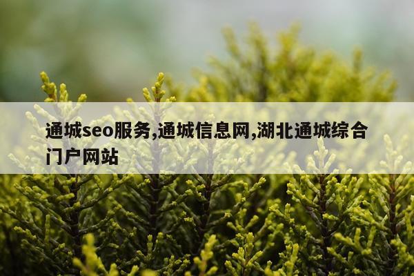 通城seo服务,通城信息网,湖北通城综合门户网站