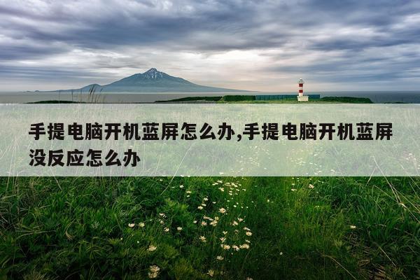 手提电脑开机蓝屏怎么办,手提电脑开机蓝屏没反应怎么办