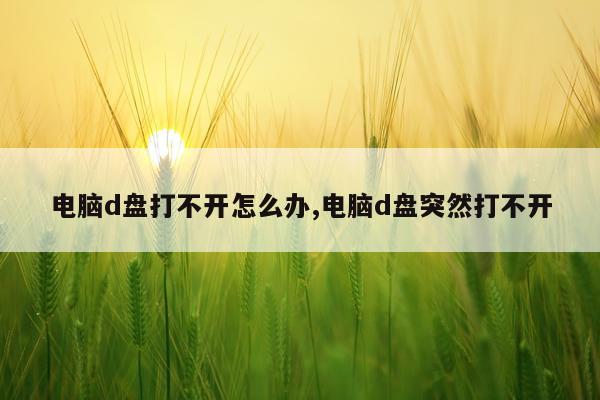 电脑d盘打不开怎么办,电脑d盘突然打不开