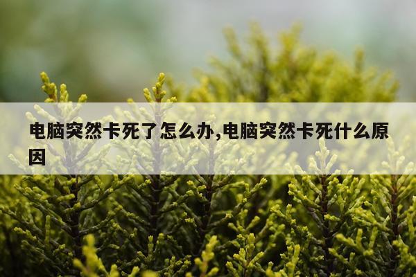 电脑突然卡死了怎么办,电脑突然卡死什么原因
