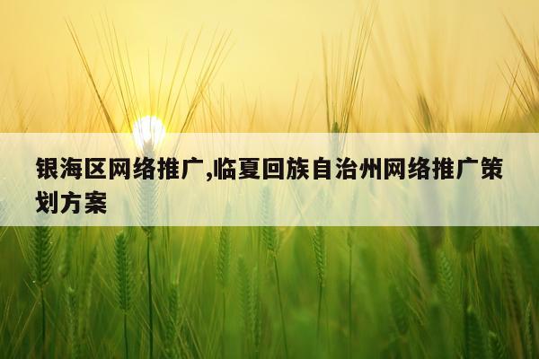 银海区网络推广,临夏回族自治州网络推广策划方案