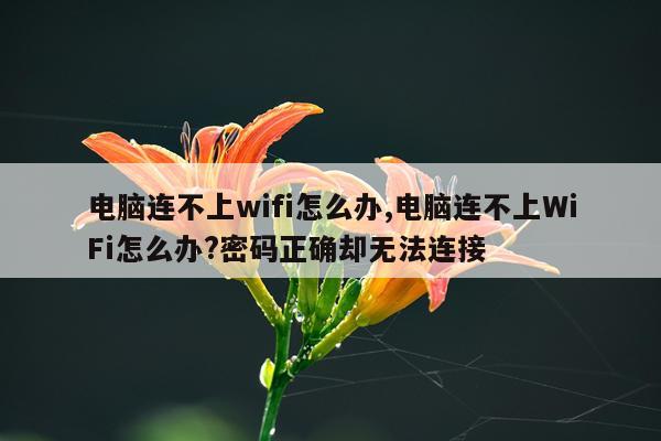 电脑连不上wifi怎么办,电脑连不上WiFi怎么办?密码正确却无法连接