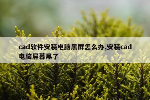 cad软件安装电脑黑屏怎么办,安装cad电脑屏幕黑了