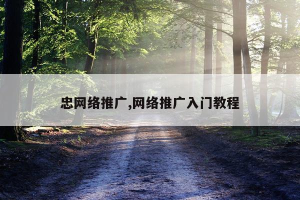 忠网络推广,网络推广入门教程