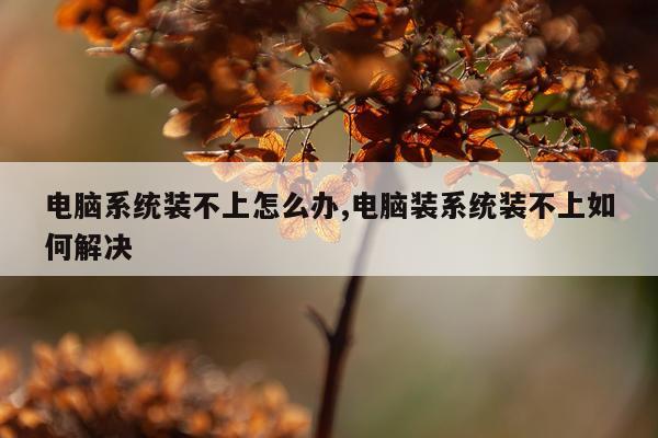 电脑系统装不上怎么办,电脑装系统装不上如何解决