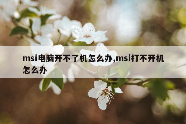 msi电脑开不了机怎么办,msi打不开机怎么办
