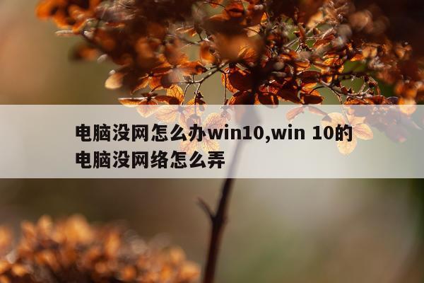 电脑没网怎么办win10,win 10的电脑没网络怎么弄