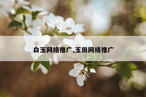 白玉网络推广,玉田网络推广