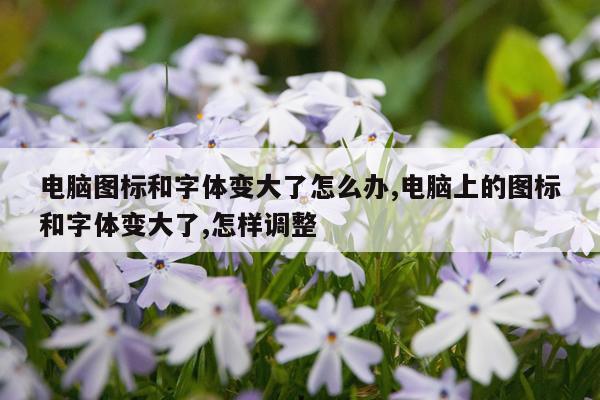 电脑图标和字体变大了怎么办,电脑上的图标和字体变大了,怎样调整
