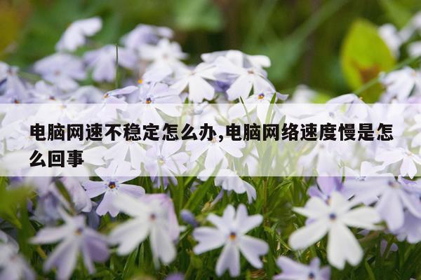 电脑网速不稳定怎么办,电脑网络速度慢是怎么回事