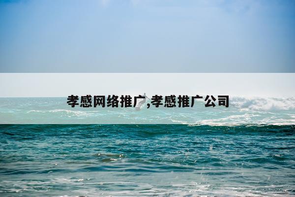 孝感网络推广,孝感推广公司