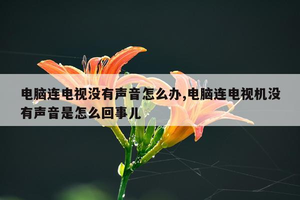 电脑连电视没有声音怎么办,电脑连电视机没有声音是怎么回事儿