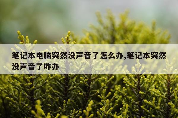 笔记本电脑突然没声音了怎么办,笔记本突然没声音了咋办